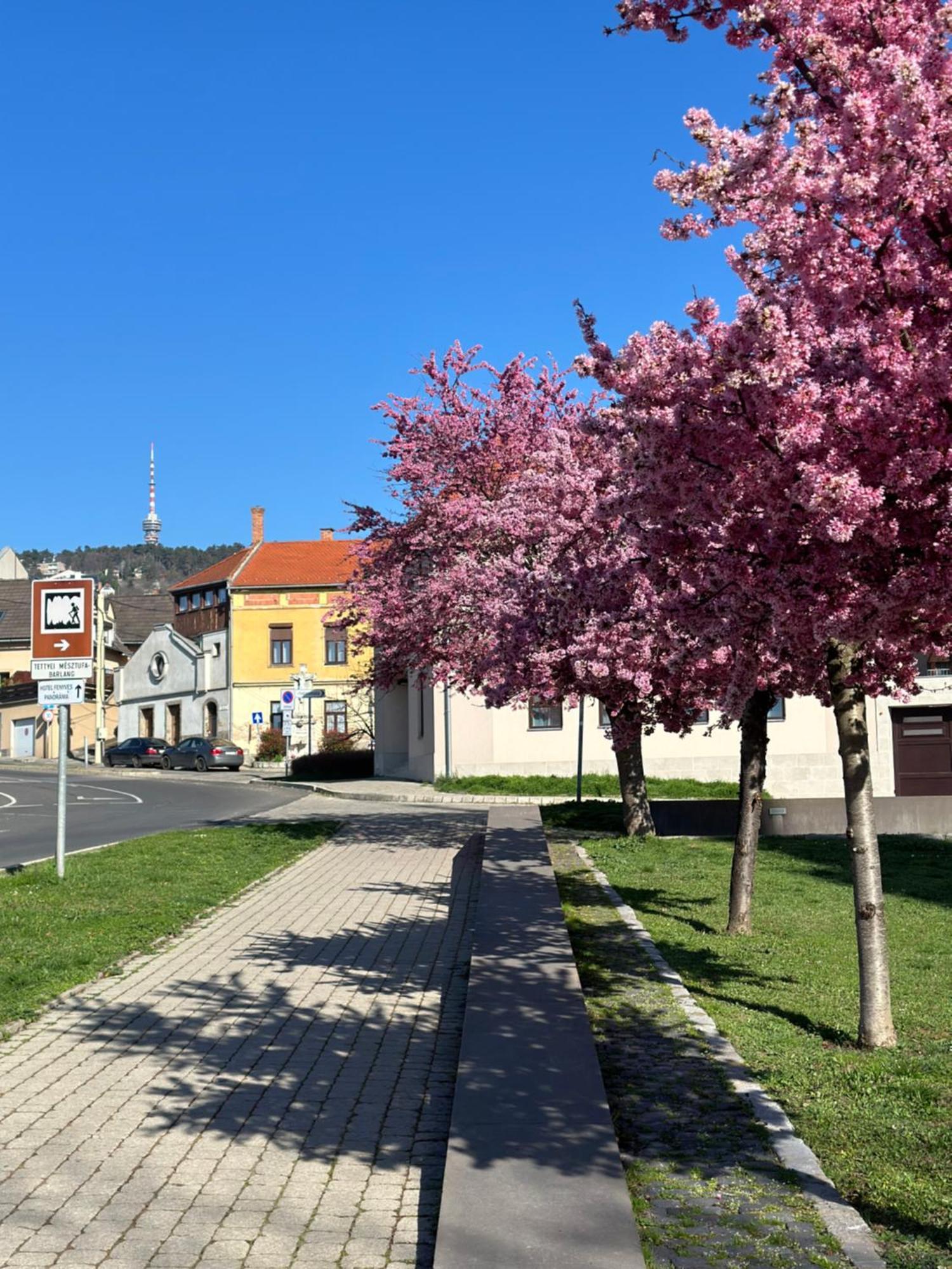 M18 - Csak Egy Lepes A Toertenelmi Belvaros - Free Parking Pětikostelí Exteriér fotografie